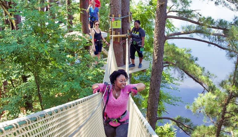 Zipline Treetop Adventure Delaware Lady