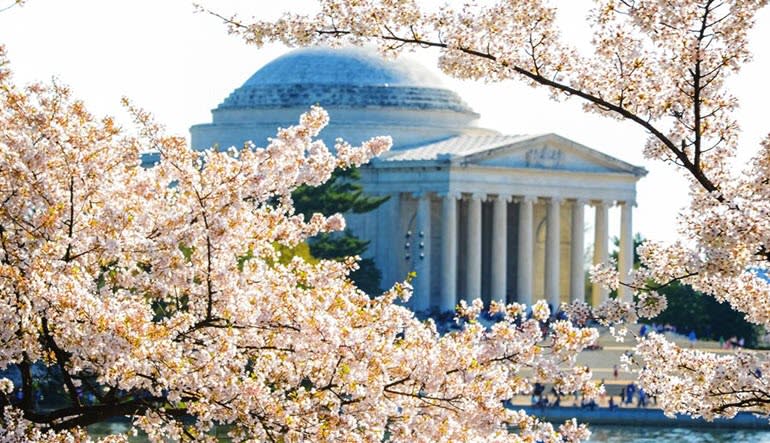 Open-top Bus Tour Washington DC - Day Pass