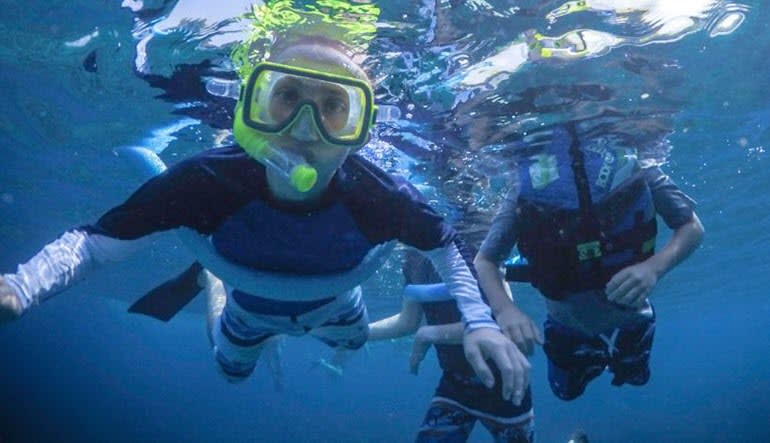 catamaran tour big island big island catamaran tour kona snorkel and dolphin catamaran tour big island big island catamaran tour kona snorkel and dolphin