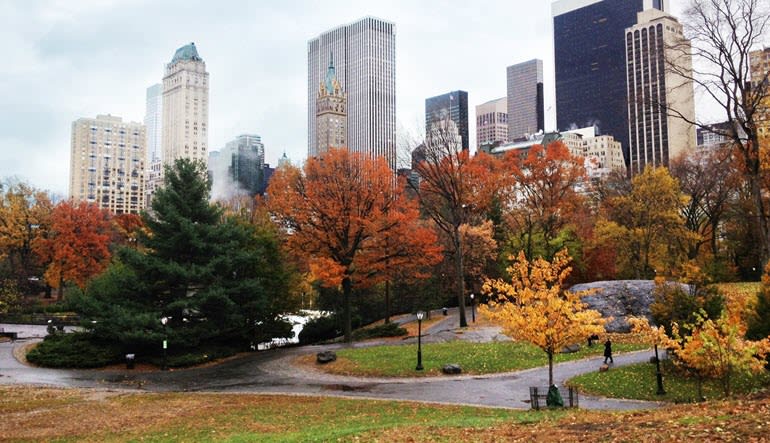 Central Park Bike Tour