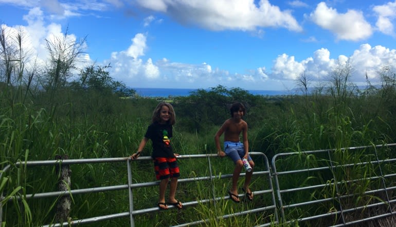 Beginners Guided Hike Oahu Rest Stop