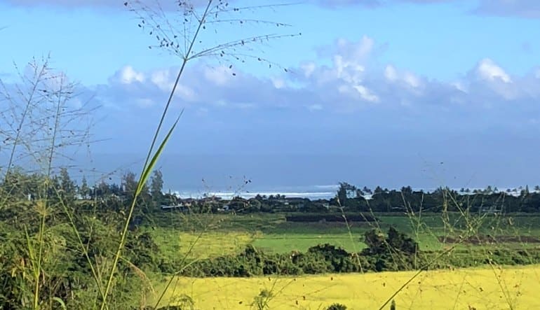 Beginners Guided Hike Oahu Landscape