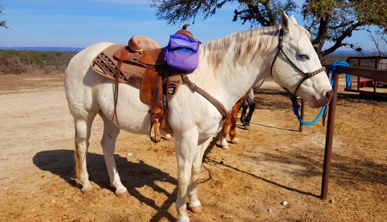 Horseback Riding San Antonio