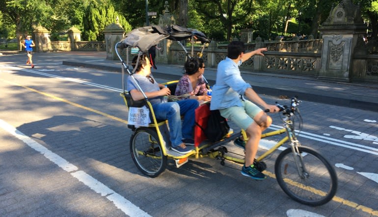 Pedicab Guided Tour, Central Park - 1 Hour