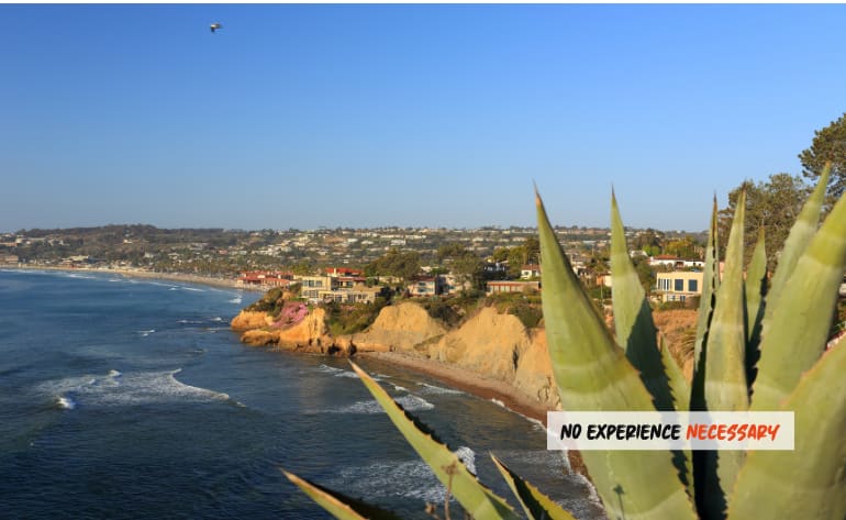 Surf Lesson, San Diego - 90 Mins