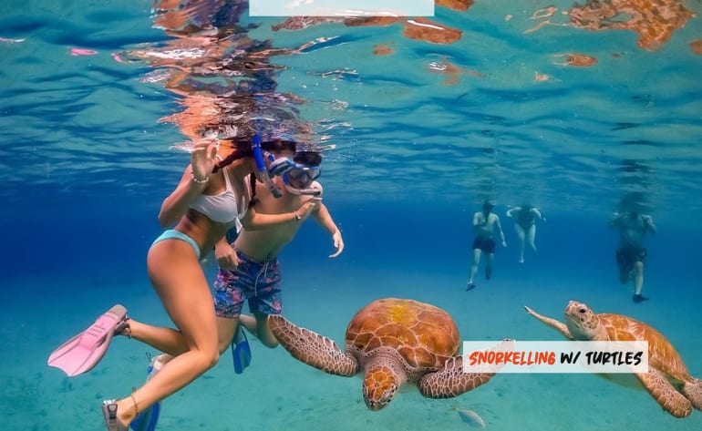 Oahu hawaii Complete circle Island Guided Tour sea turtle swim snorkel
