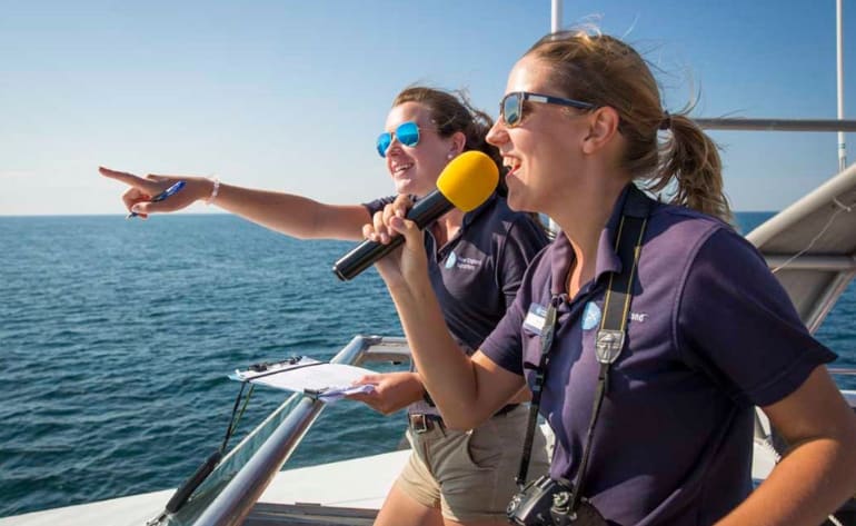 Whale Watch Tour Boston - 4 Hours