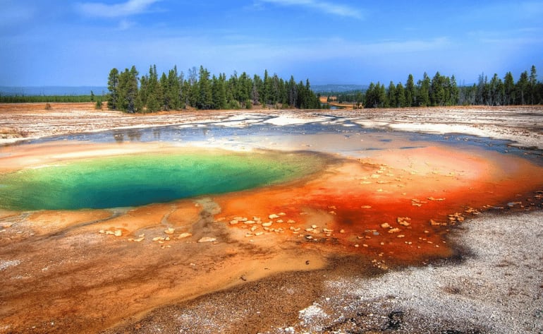Private Yellowstone National Park Guided Day Tour - 12 Hours