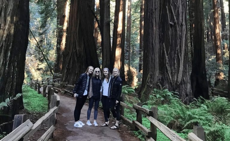 Private Muir Woods and Sausalito Tour in Open-Air Jeep - 3 Hours