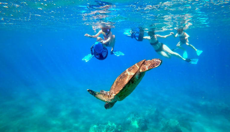 Sea Scooter Snorkeling Tour Maui - 2 Hours