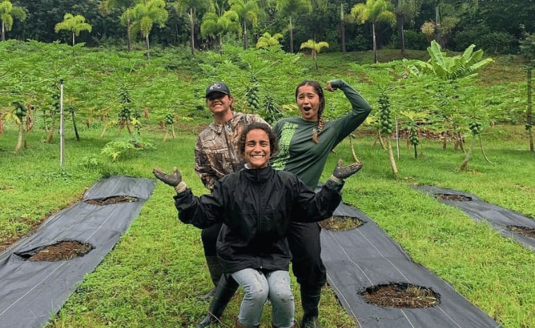 Oahu Kualoa Grown Tour, Kualoa Ranch - 90 Minutes