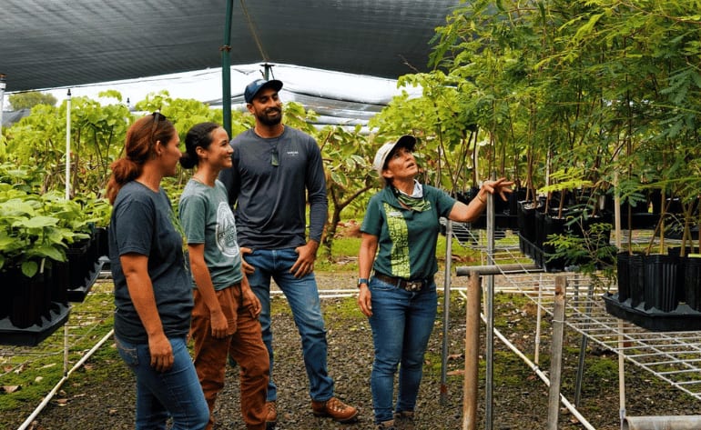 Oahu Kualoa Grown Tour, Kualoa Ranch - 90 Minutes