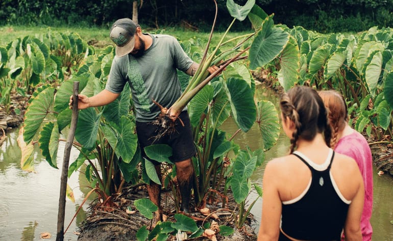 Oahu Malama Gardening Experience, Kualoa Ranch - 2 Hours