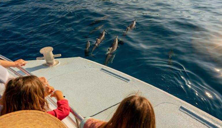 Big Island Catamaran Tour, Kona Snorkel and Dolphin Tours, 4.5hr