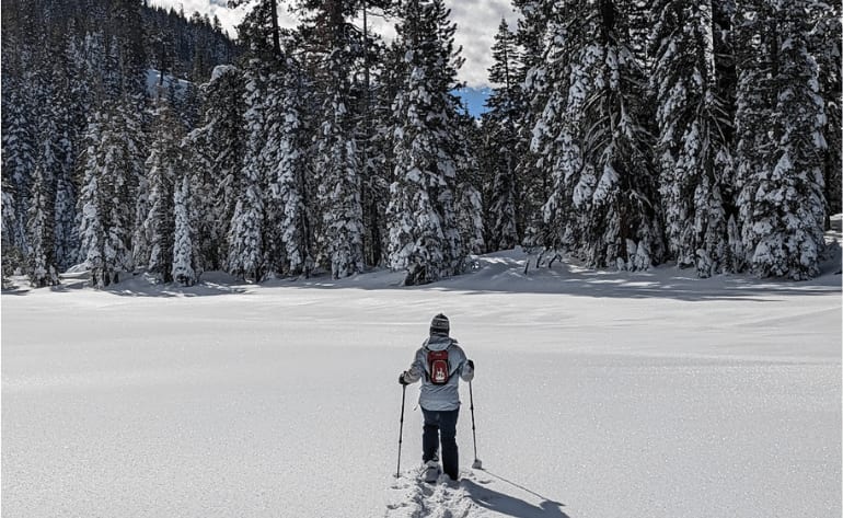 Beginner and Family Snowshoe Tour, Lake Tahoe - 2.5 Hours