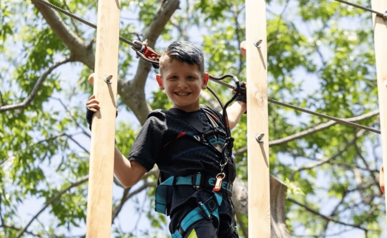 Beginner Zipline and Aerial Course Adventure, Arlington - 1 Hour