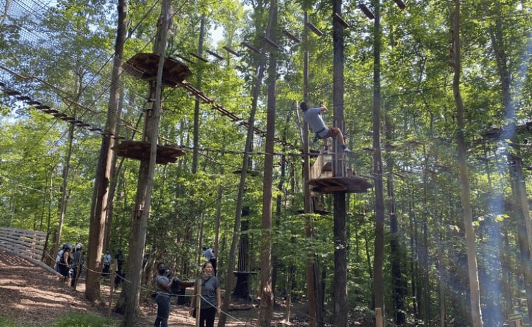 Beginner Zipline and Aerial Course Adventure Virginia, Springfield - 1 Hour