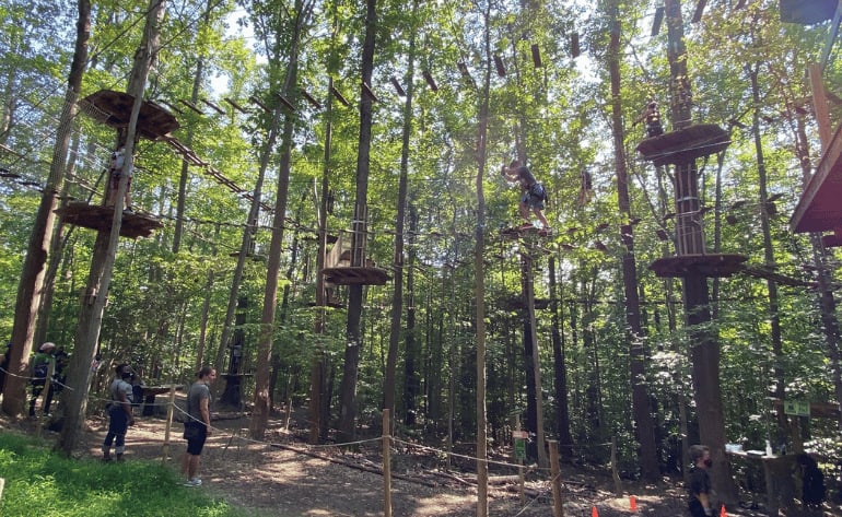 Beginner Zipline and Aerial Course Adventure Richmond, Williamsburg - 1 Hour