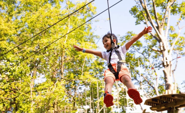 Zipline Treetop Adventure Houston, Sugar Land - 3 Hours