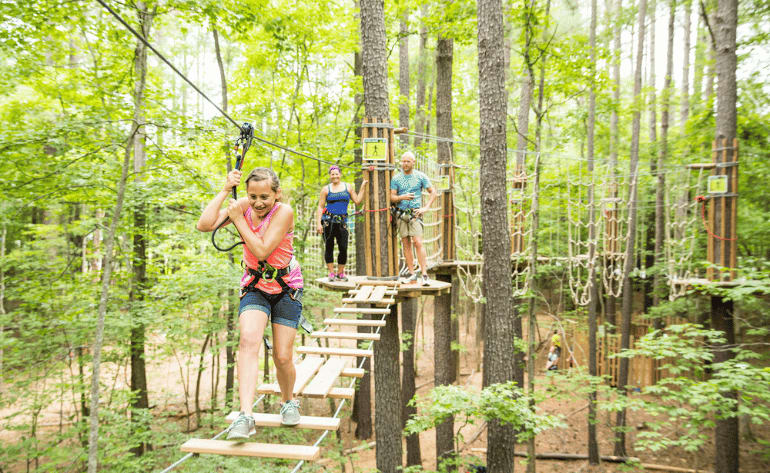 Zipline Treetop Adventure, Arlington - 3 Hours