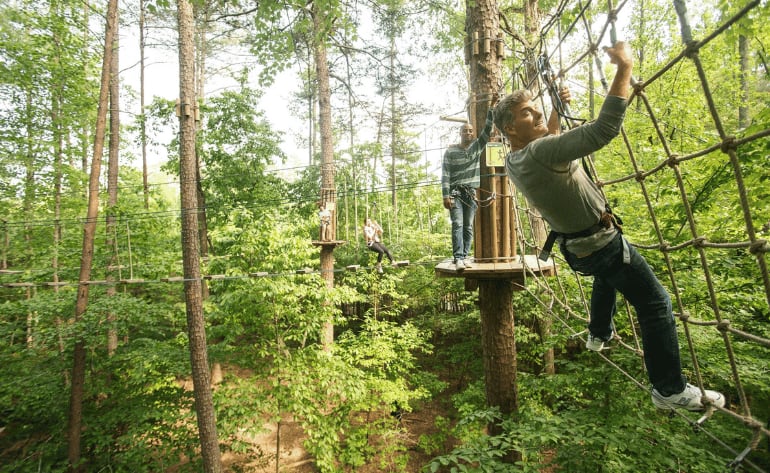 Zipline Treetop Adventure, Arlington - 3 Hours