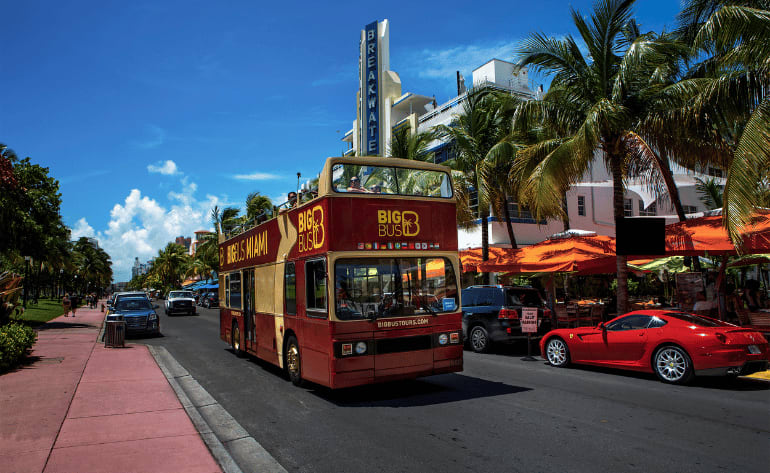 Guided City Tour and Everglades Airboat Ride, Miami - 8 Hours