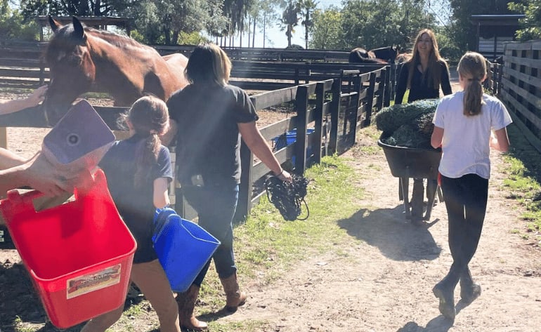 Interactive Barn Hand Experience, Orlando - 80 Mins