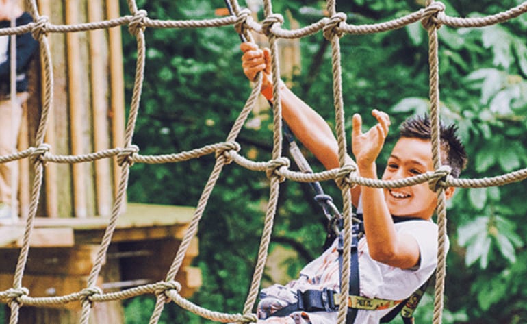 Zipline Treetop Adventure Full Course Access, Arlington - 3 Hours