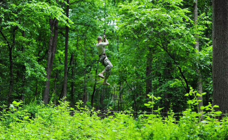 Zipline Treetop Adventure Full Course Access, Arlington - 3 Hours