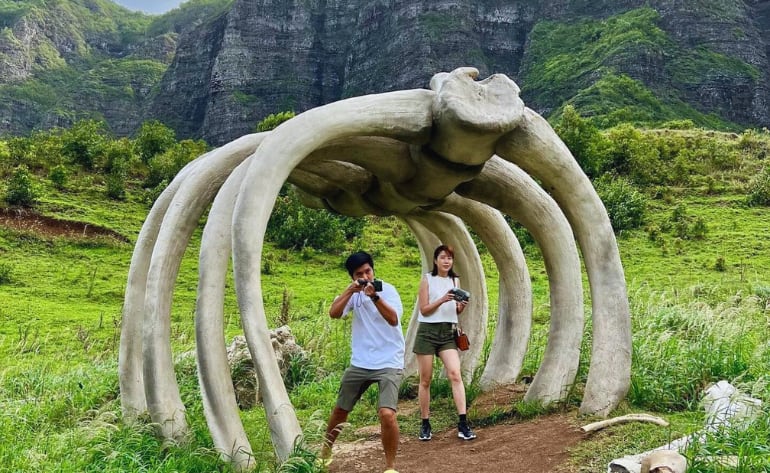 Oahu Movie Sites Tour, Kualoa Ranch - 90 Minutes