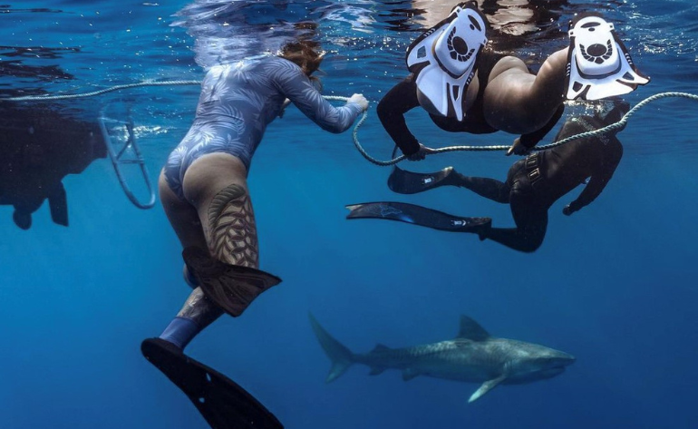 Image of Open Water Shark Dive Oahu