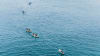 Tandem Kayak Tour La Jolla Ocean