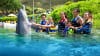 Dolphin Encounter swim with dolphins sea life park oahu hawaii Family