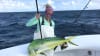 Fort Lauderdale Private Fishing Charter, 6 People - 4 Hours