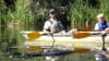 Kayak or Canoe Eco Tour, Mangrove Tunnel - 3 Hours