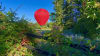 Hot Air Balloon Ride Upstate NY Garden