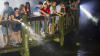 Gator Night Shine Adventure, Gatorland - 1.5 Hours