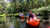 Oahu Kayak Rainforest River Tour, 4 Hrs