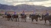 Horseback Riding Las Vegas Sunset Tour - 1 Hour