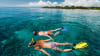 Signature Cancun Snorkel Tour, Mexico - 2 Hours