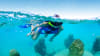 Punta Nizuc Snorkel and MUSA Visit Experience  - 2 Hours