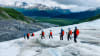 Exit Glacier Ice Hiking Adventure from Seward, Alaska - 8 Hours