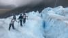 Exit Glacier Ice Hiking Adventure from Seward, Alaska - 8 Hours