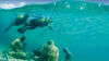 Underwater Museum Snorkeling Tour, Cancun  - 5 Hours