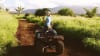 ATV Adventure Tour North Shore Oahu - 60 Minutes