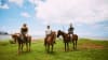 Oceanfront Horseback Riding Tour North Shore Oahu - 45 Minutes