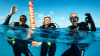 Private Scuba Diving Charter, Waikiki (Up to 21 Guests!)