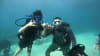 Scuba Diving for Non Certified Divers, Waikiki - 2 Hours