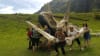 Oahu Jurassic Adventure Tour, Kualoa Ranch - 2.5 Hours