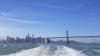 San Francisco Bridge to Bridge Cruise - 90 Minutes